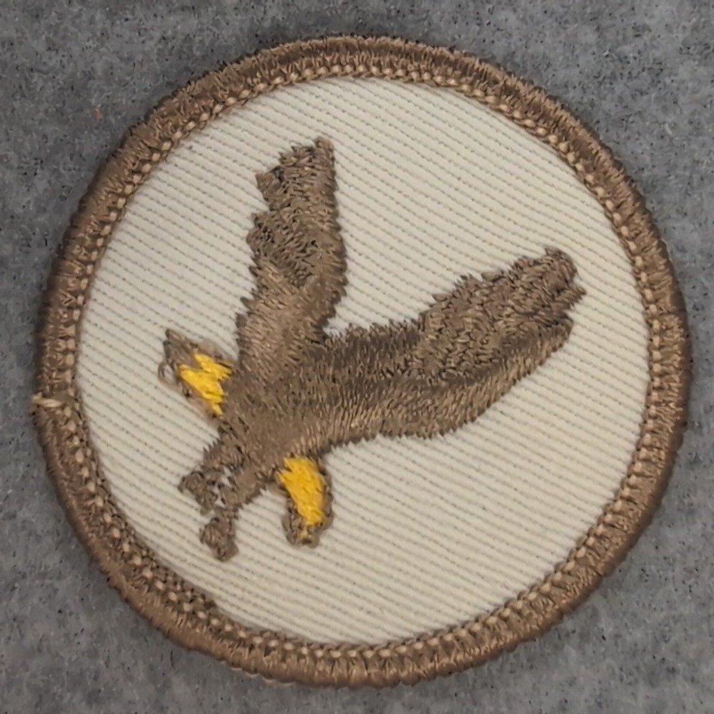 Embroidered Eagle Patch Badge Flying Design Circle Applique Apparel Accessory - Picture 1 of 3